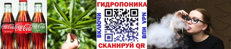 Canna-Cookies конопля  Сосенский 