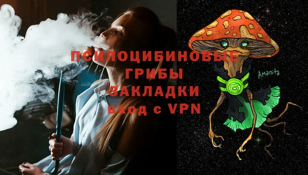 spice Алзамай