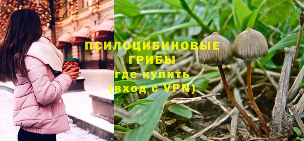 дживик Алексин