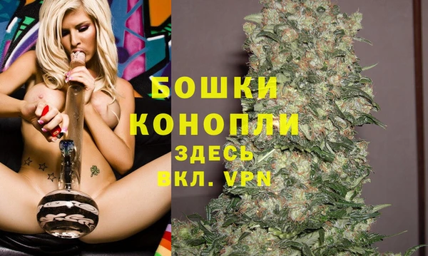 spice Алзамай