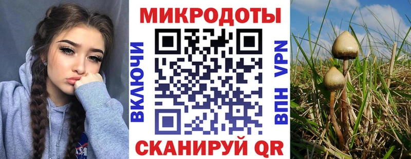 Псилоцибиновые грибы Magic Shrooms купить Сосенский