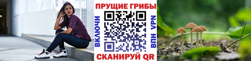 Галлюциногенные грибы Magic Shrooms Сосенский